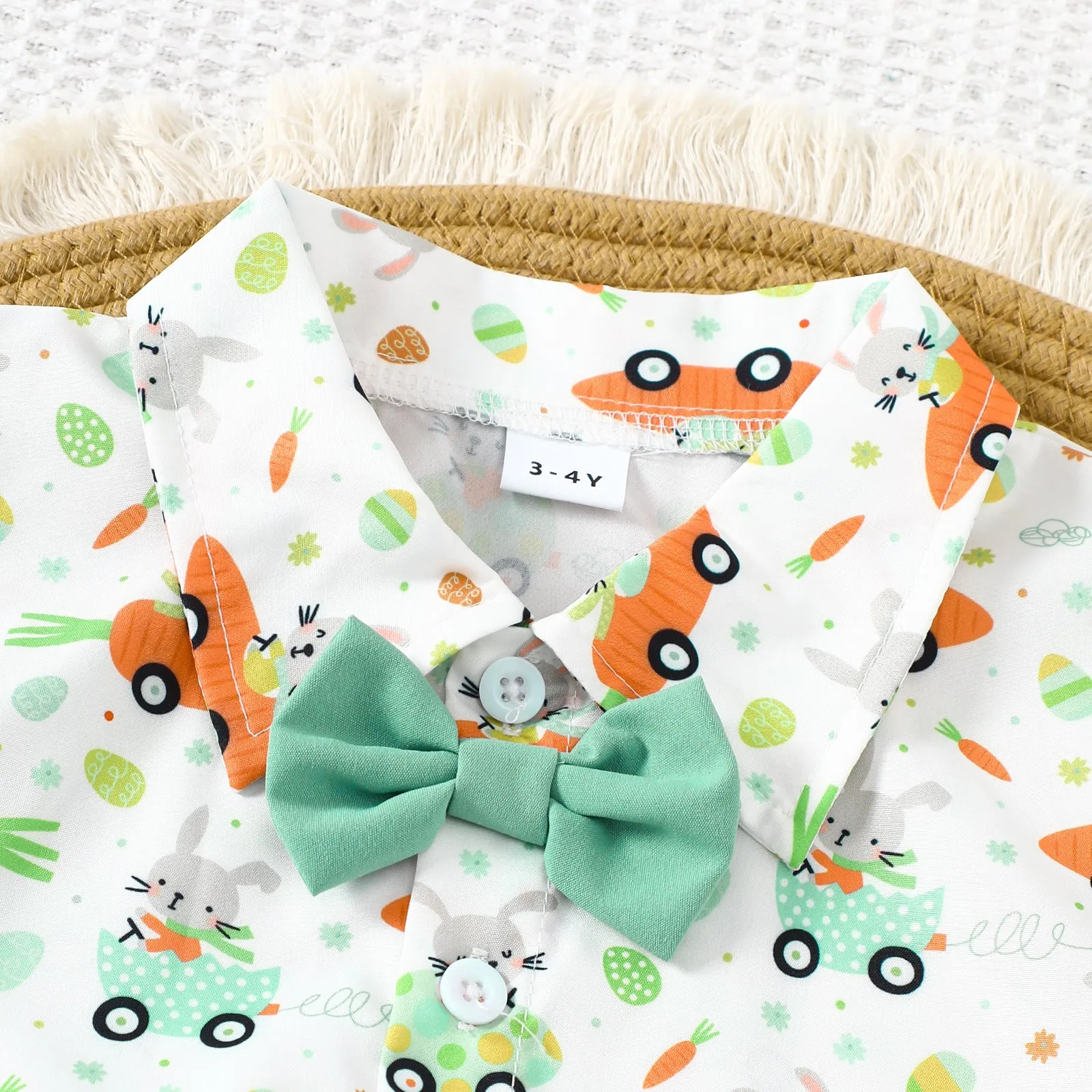 2 Pieces Set Baby Kid Boys Easter Animals Car Cartoon Shirts And Solid Color Shorts Wholesale 25021010