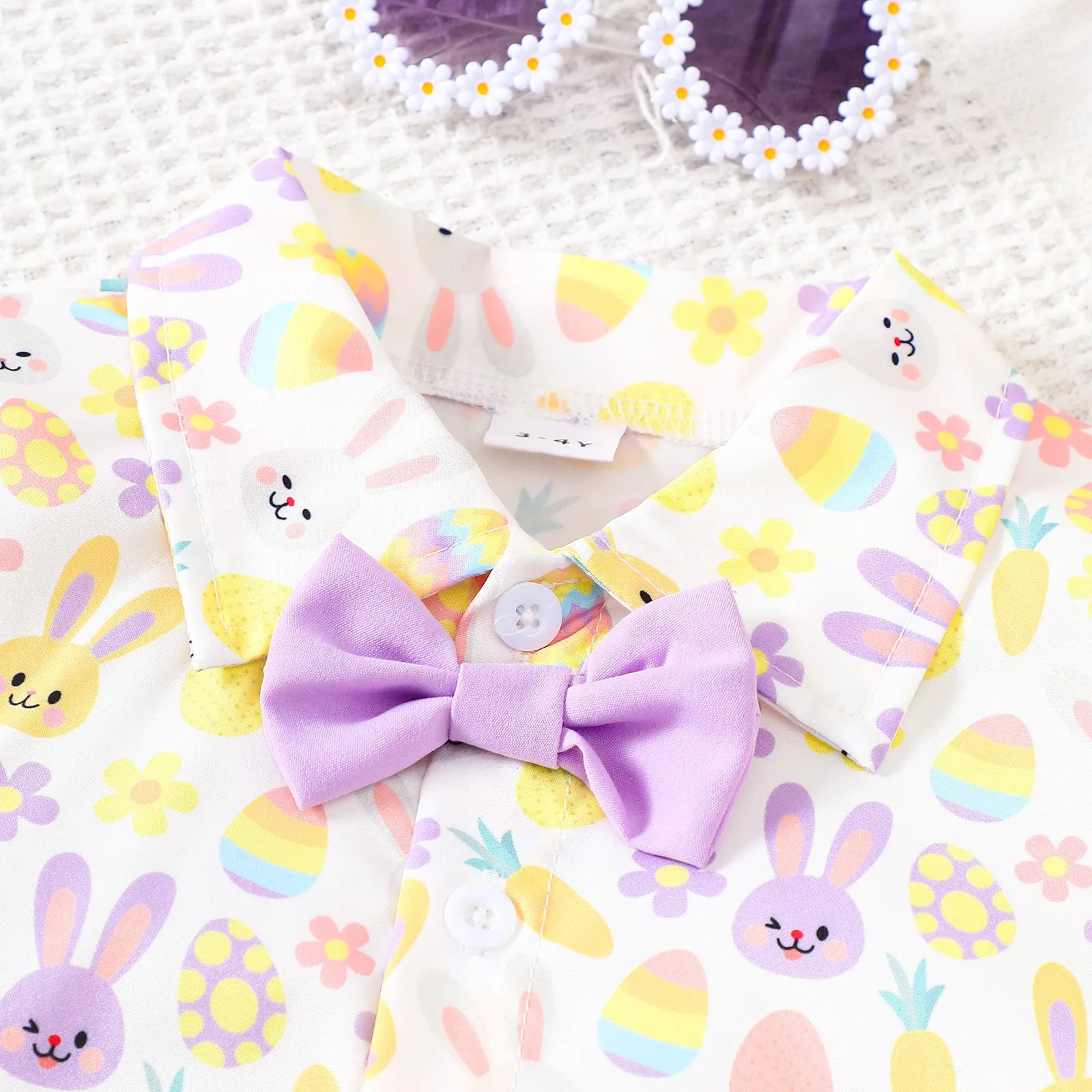 2 Pieces Set Baby Kid Boys Easter Animals Car Cartoon Shirts And Solid Color Shorts Wholesale 25021010