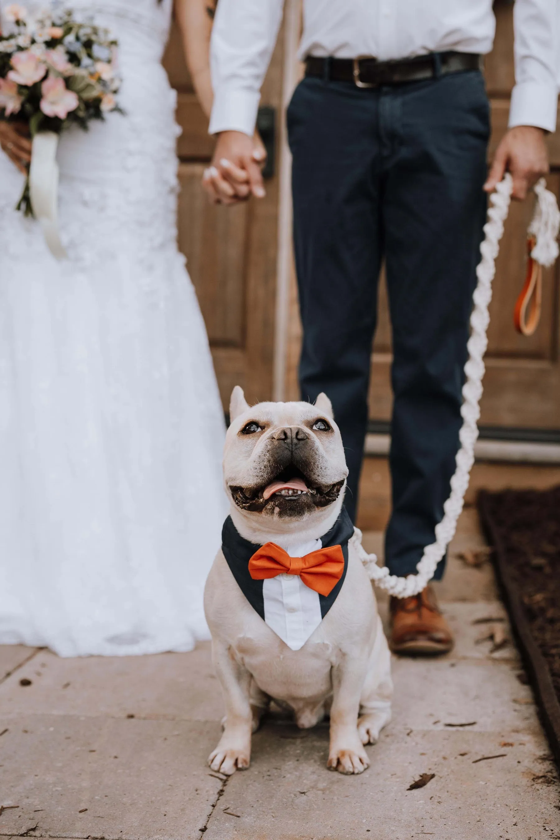 Customizable Tuxedo Pet Bandanas