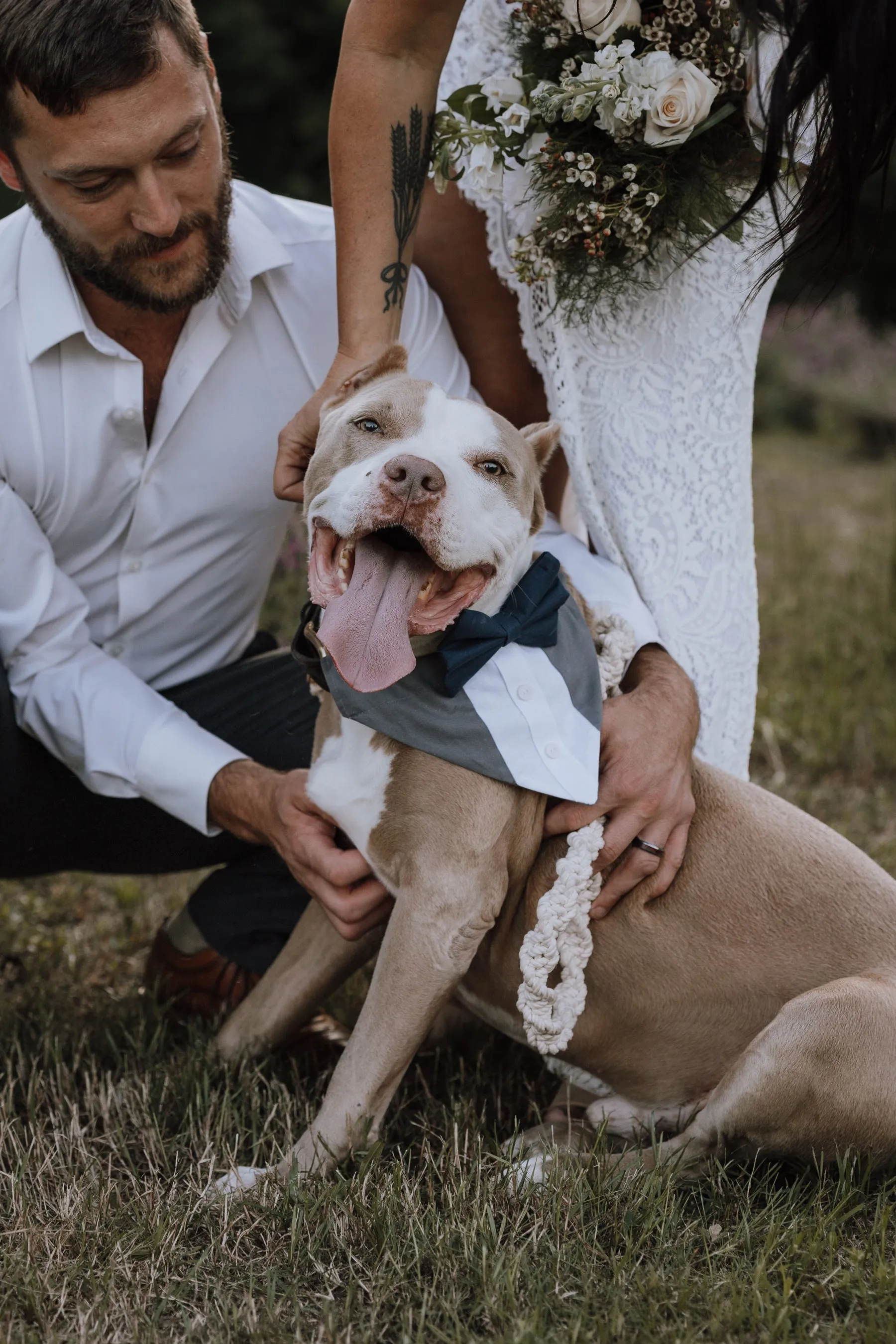 Customizable Tuxedo Pet Bandanas