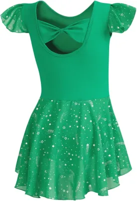 DIPUG Girls Ballet Leotards Toddler Shiny Dance Leotard Dresses with Ruffle Sleeve